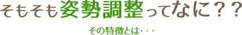 そもそも姿勢調整ってなに？？その特徴とは・・・